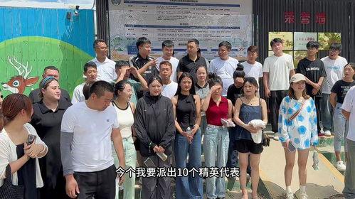 豫东团队爆料视频播放,揭秘惊人内幕！